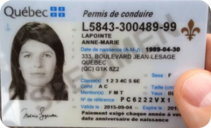 Novelty Canadian Driver Licence