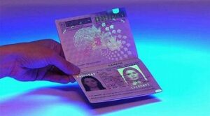 Novelty Passport For Sale