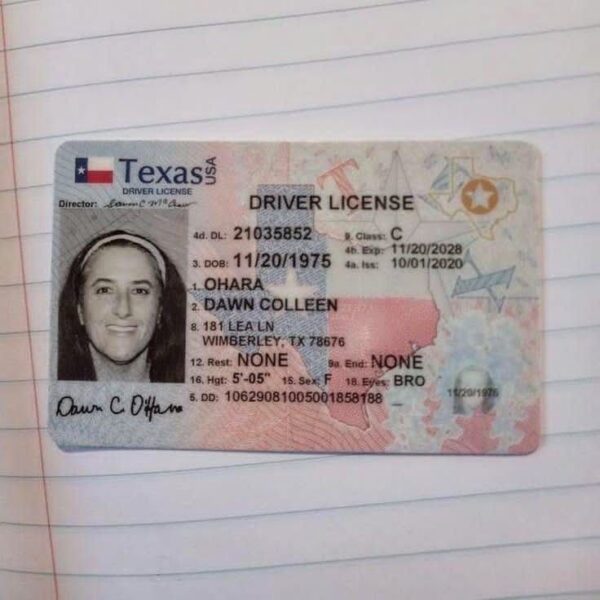 US Driver’s License - Image 2