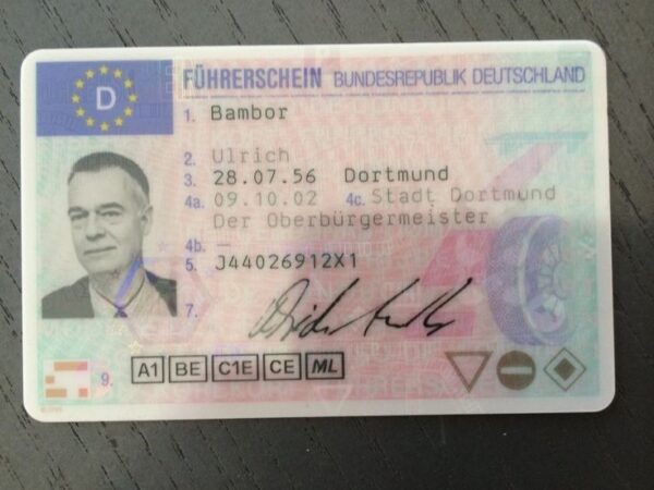 German Driver's License - Image 2
